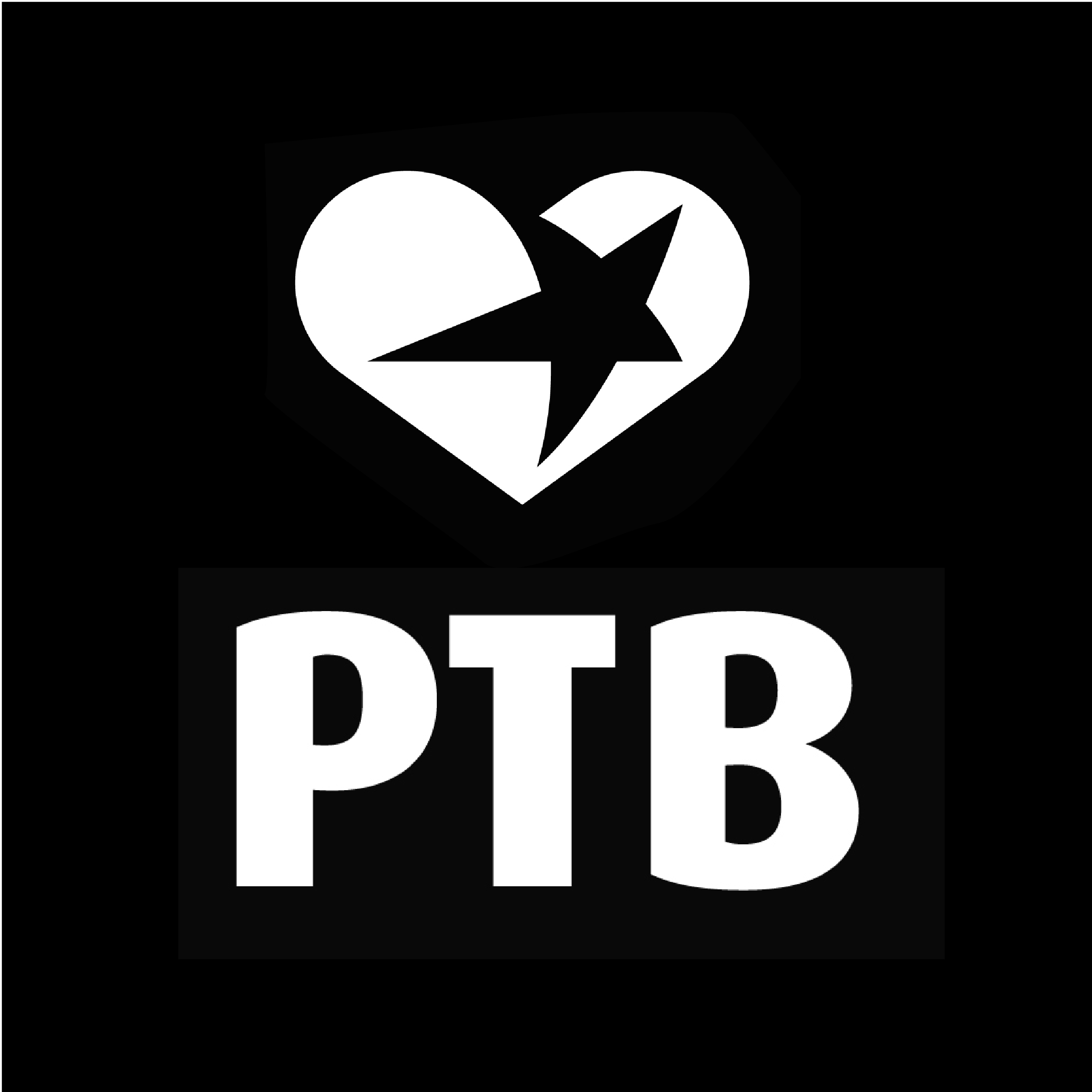 https://www.ptb.be/